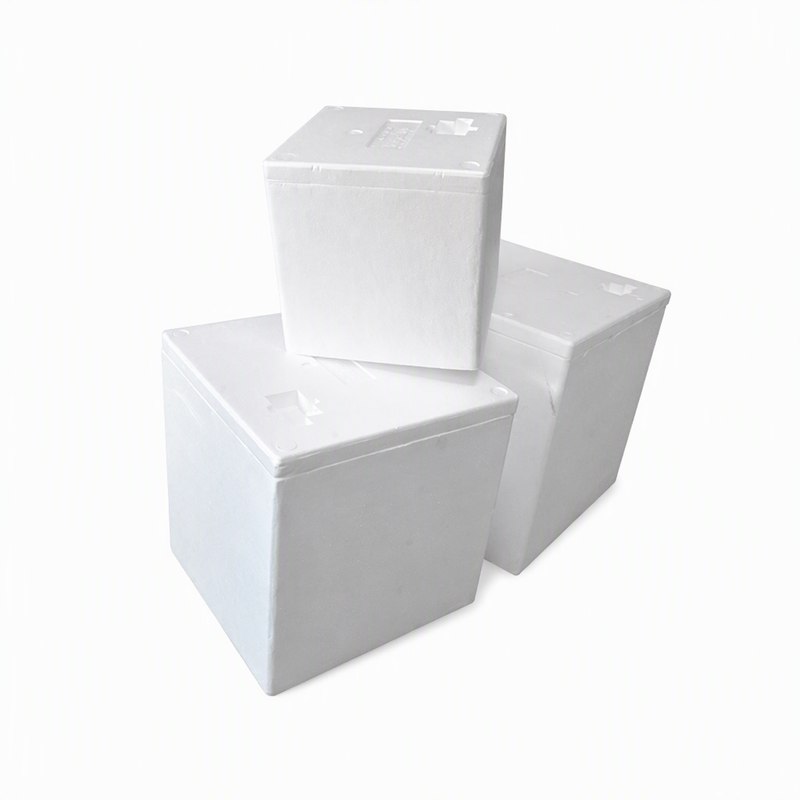 EPS Foam Box