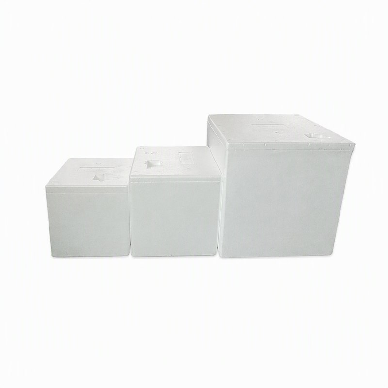EPS Medical Box