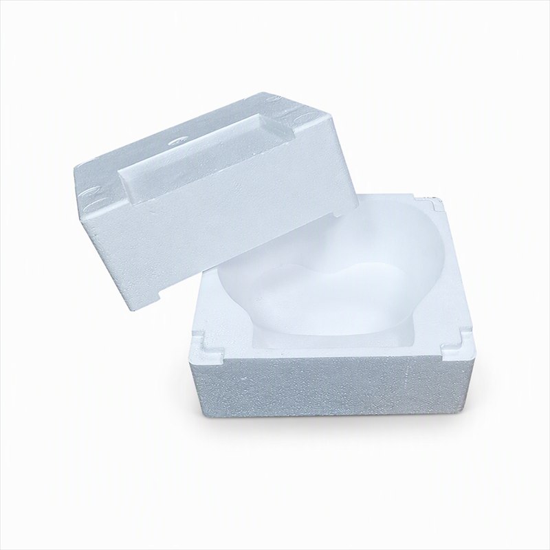 EPS Molding