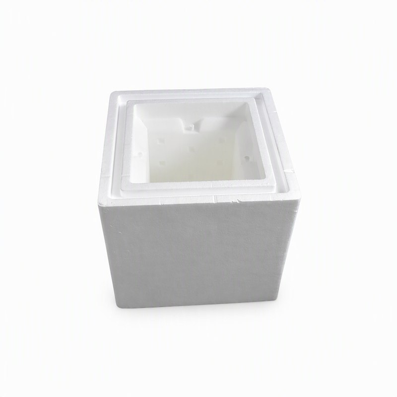 EPS Refrigerated Box